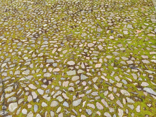 Valokuva Weathered mossy stones forming garden path