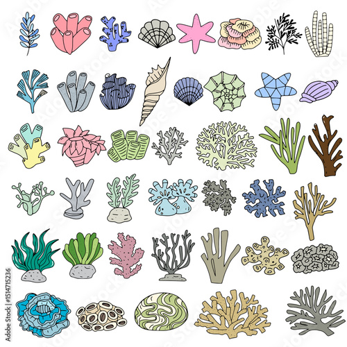 Set of variant coral and reef beautiful underwater element stock