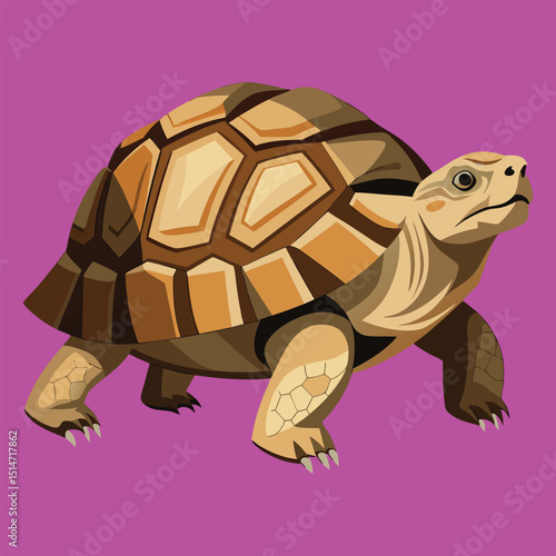 Cute old slow tortoise walking with a brown shell, a turtle vector illustration