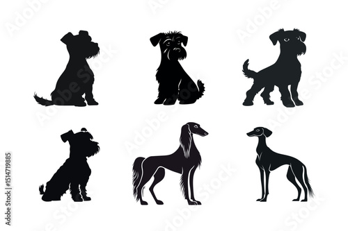 Six dog silhouettes miniature schnauzer and saluki breeds