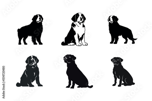 Six dog silhouettes bernese mountain dog labrador retriever
