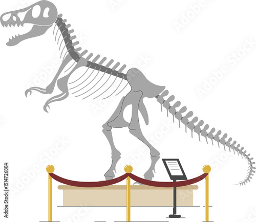 Paleontology museum with dinosaur fossils vector illustration. Cartoon paleontological exhibition with prehistoric dino skeleton. Historical artefacts and sculls on pedestals. Science concept.