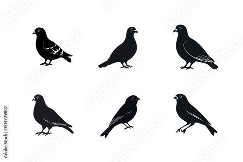 Six bird silhouettes pigeons and finches