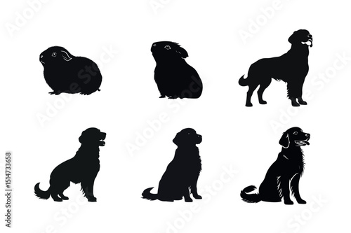 Silhouette set of guinea pigs and golden retrievers