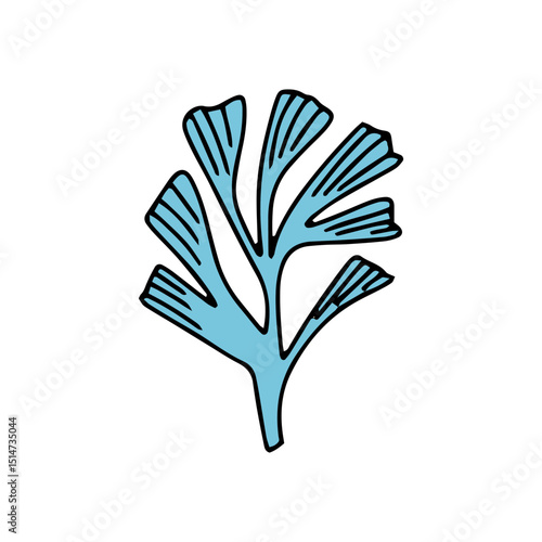 Cartoon coral and reef design. coral reefs and seaweed doodle design element