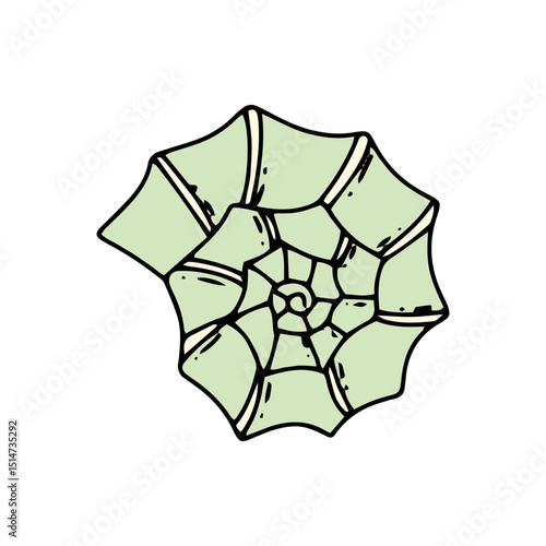 cartoon coral reef isolated on white background. Abstract Seaweed Shape Aesthetic Element Vector Illustration