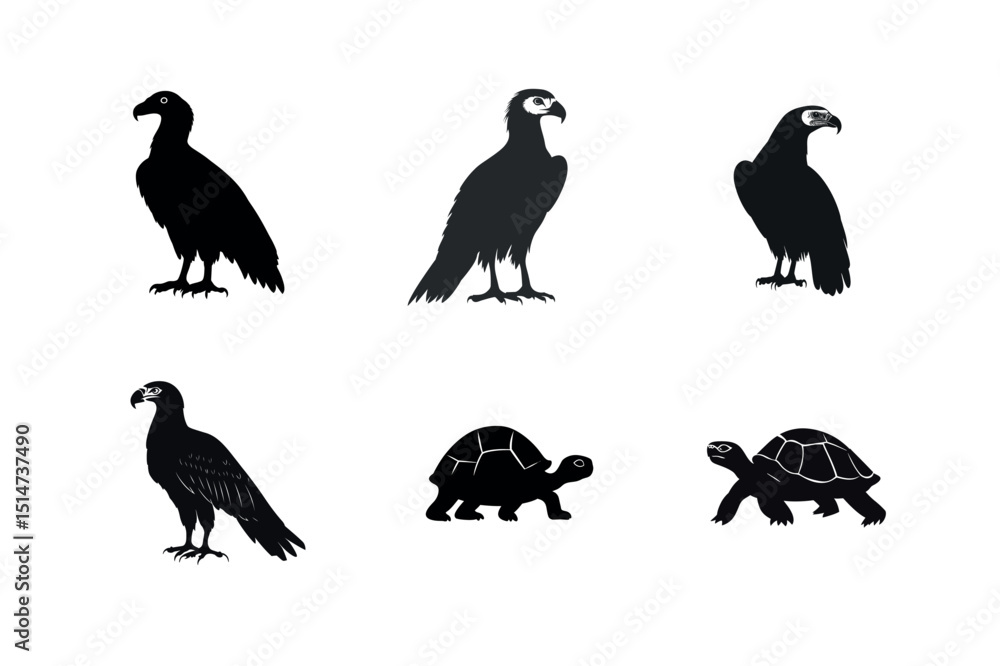 Obraz premium Silhouette set of vultures eagles and tortoises