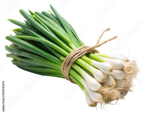 spring onions bunch tied fresh