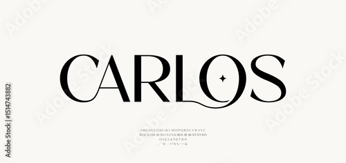 Modern and Elegant Fonts. Beauty Luxury font alphabet logo. Typography beautiful fashion elegant classic letters serif italic fonts decorative wedding vintage blossom logos. vector illustration