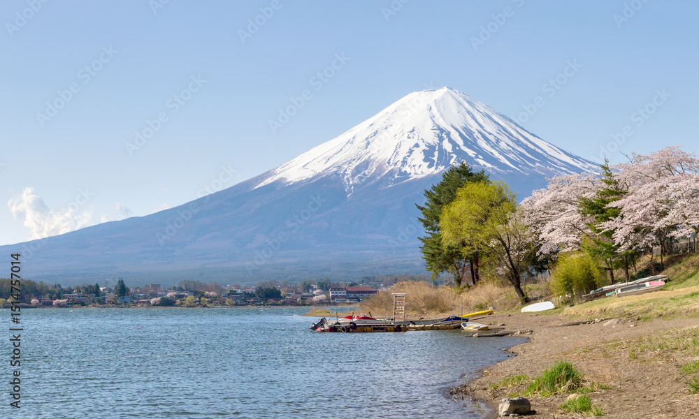 Obraz premium Mount Fuji seen from the shores of Lake Kawaguchi, Kawaguchiko, Yamanashi Prefecture, Japan