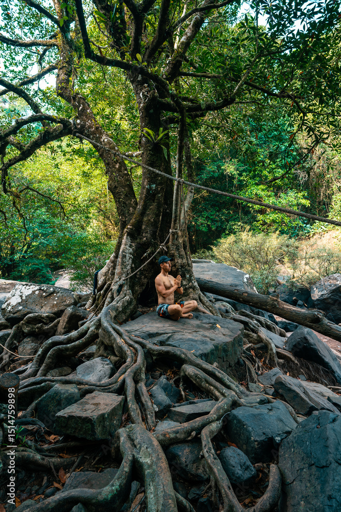 Travel people make yoga meditation under beautiful tropical tree Travel people make yoga meditation under beautiful tropical tree