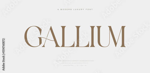 Modern and Elegant Font. Beauty & Luxury font alphabet logo. Typography beautiful fashion elegant classic letters serif fonts decorative wedding vintage retro logos. vector illustration
