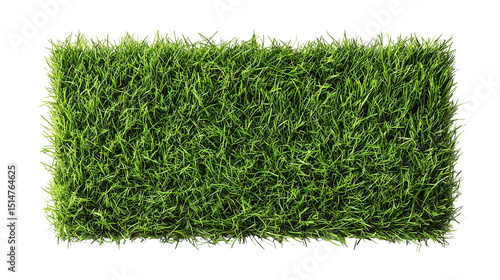 Green Grass Isolated on Transparent Background


