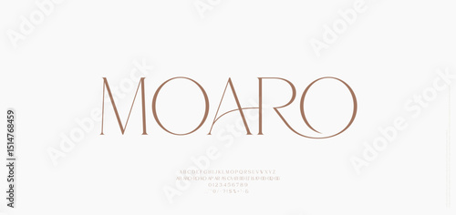Modern and Elegant Fonts. Minimal luxury font alphabet logo. Typography beauty fashion elegant minimalist serif italic fonts decorative wedding vintage retro logos. vector illustration
