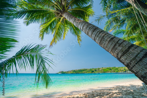 Fototapeta Naklejka Na Ścianę i Meble -  Tropical beach palm ocean