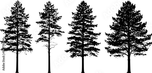 tree silhouettes
