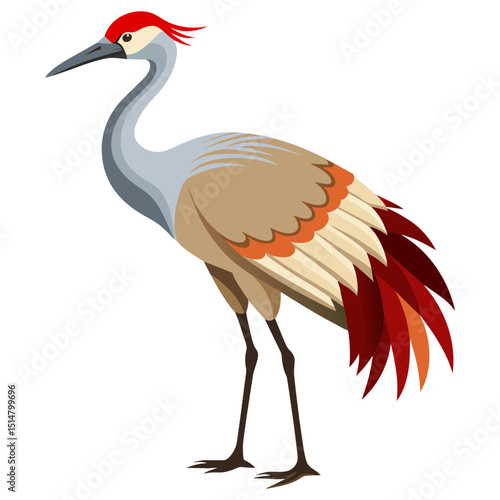 Wading Bird Sandhill Crane Clipart
