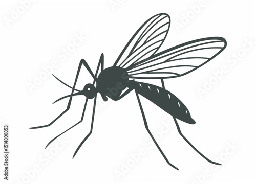 moscuite insect vector