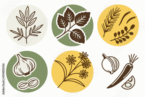 set of different kinds of food