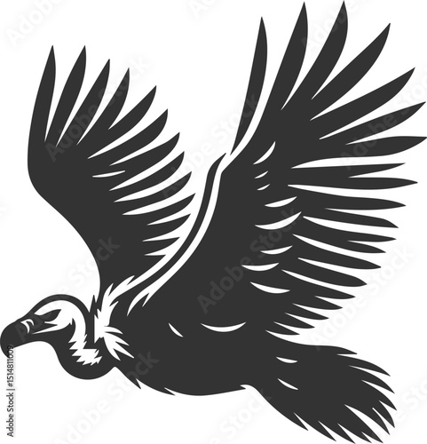 Bird vector drawing silhouette of a black vulture