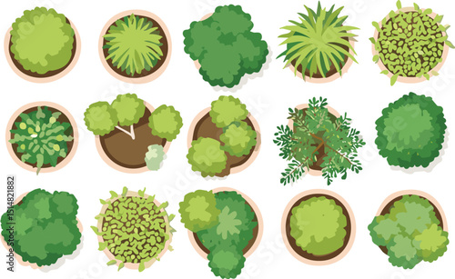 Vector Top-Down Illustration of a Grid of Potted Plants in Terracotta Pots Featuring Various Green Species with Detailed Leaf Textures and Minimalist Botanical Design

