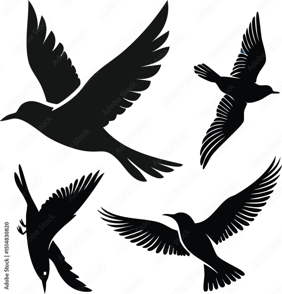 Obraz premium Flying Bird Silhouette