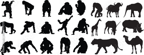 Silhouettes of Various Primates and a Bear