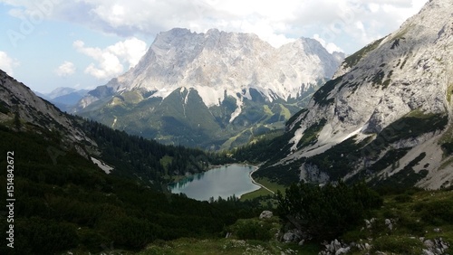 swiss alps in the alps