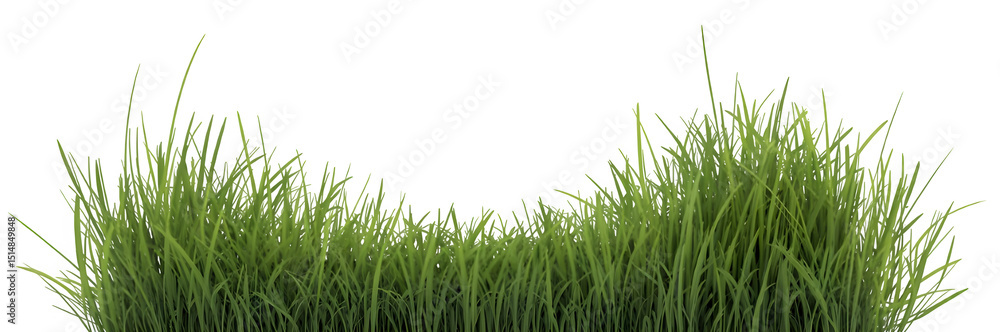 Fototapeta premium Vibrant Green Grass Wave Pattern on transparent background