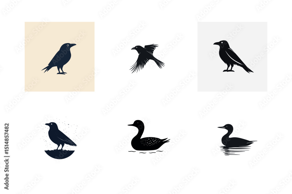 Fototapeta premium Six bird silhouettes crows and loons graphic design set