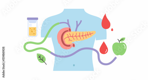 Pancreas Health Blood Sugar