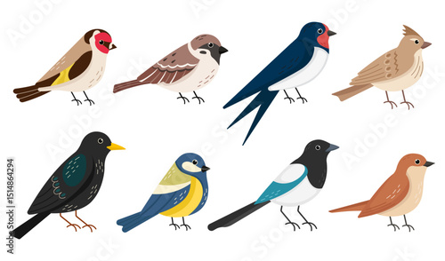 Set of colorful European songbirds. Flat vector collection of common garden birds.
