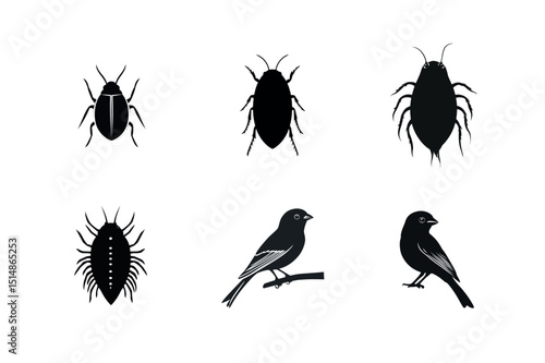 Silhouette icons of insects and birds