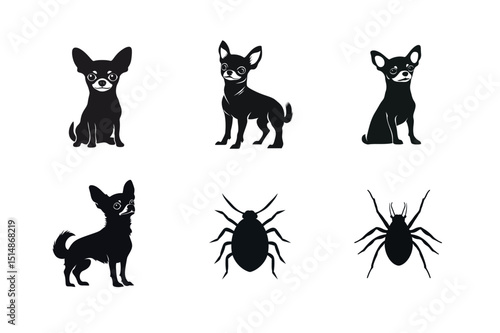Chihuahua dog breeds and parasites silhouettes