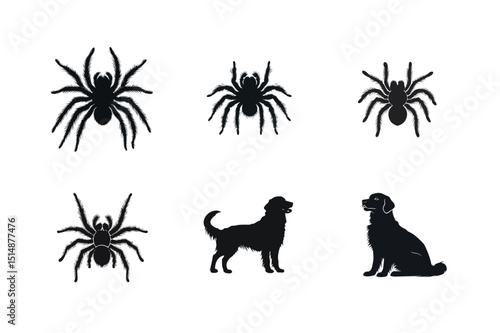 Tarantula spider and golden retriever dog silhouettes