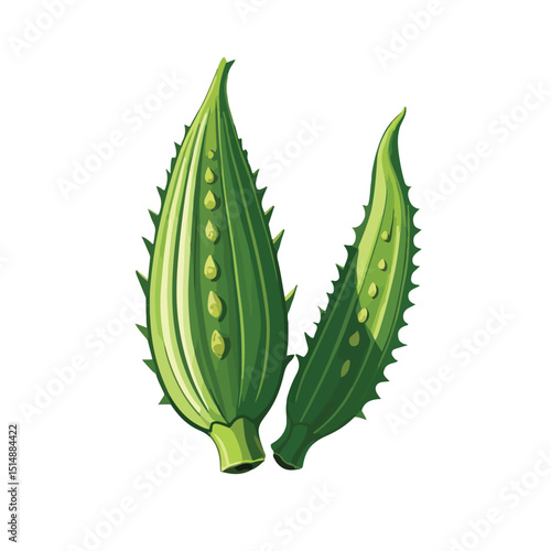 Flat Green Lady Finger Vector