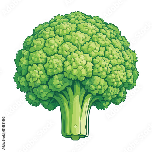 Romanesco Broccoli Icon