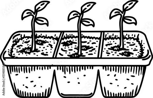 Young seedlings sprouting in sectioned tray plant growth, germination, gardening concept, spring agriculture