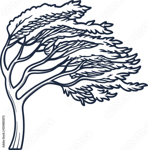 Strong wind blowing through a lone tree hand drawn stylized illustration of wind bent branches, stormy weather concept