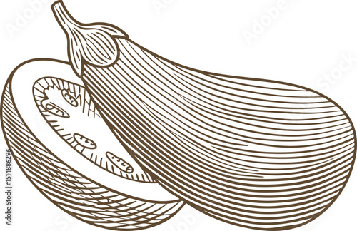 Eggplant vegetable sketch hand drawn sliced aubergine illustration, engraved vintage food design