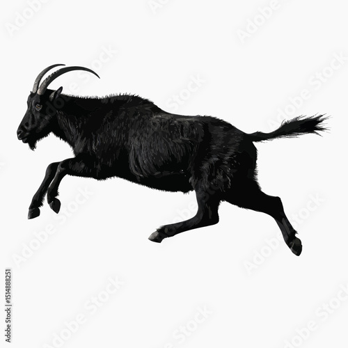 Black Animal In Dynamic Leap Against White Background