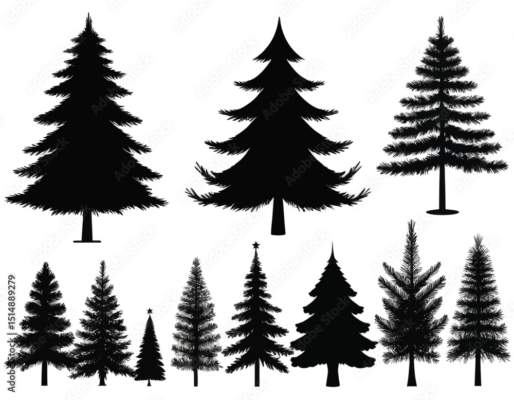 Obraz premium Silhouette Collection Of Various Pine Trees