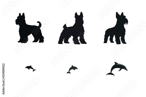 Silhouette set miniature schnauzer dogs and dolphins