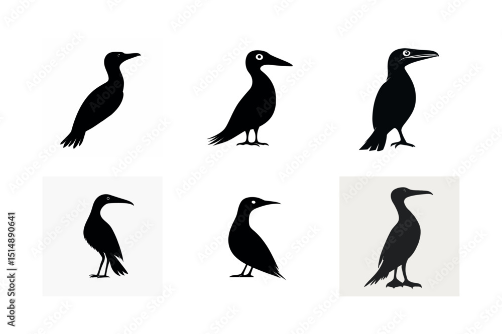 Fototapeta premium Six black silhouettes of cormorants in different poses