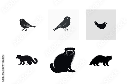 Silhouette set of birds and raccoons