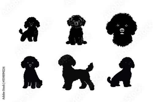 Poodle Dog Silhouettes in Various Poses