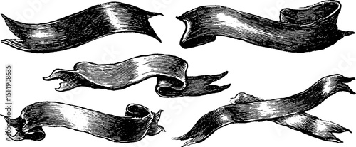 Vintage engraved illustration of abstract banners and ribbons for design projects