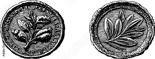 Engraved illustration set featuring ancient coin and olive branch design