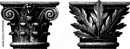 Engraved illustration of classical ancient column capitals for historical design