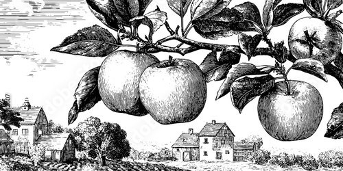 Engraved apple orchard landscape illustration featuring country houses and trees